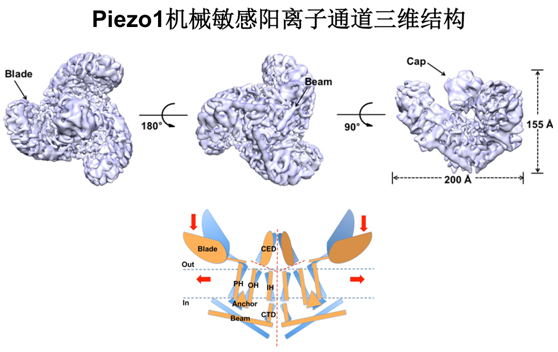 QQ图片20150922151215.png